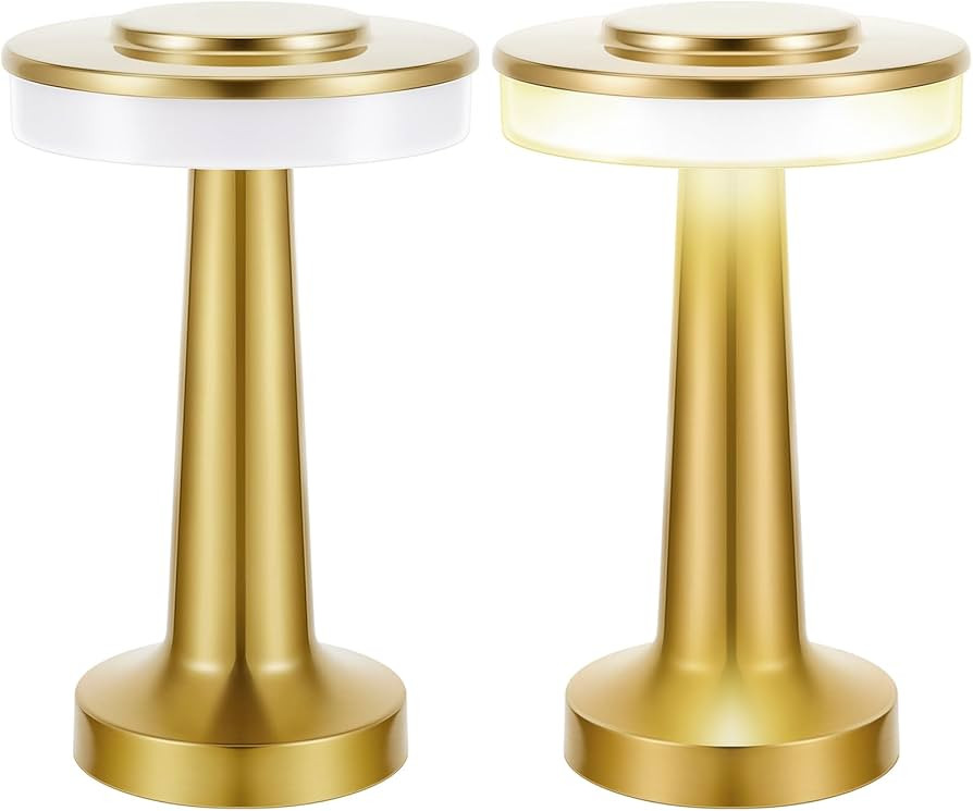 Riakrum Set of 2 LED Portable Metal Table Lamp with Touch Sensor 3 Color Stepless Dimming Nightst... | Amazon (US)