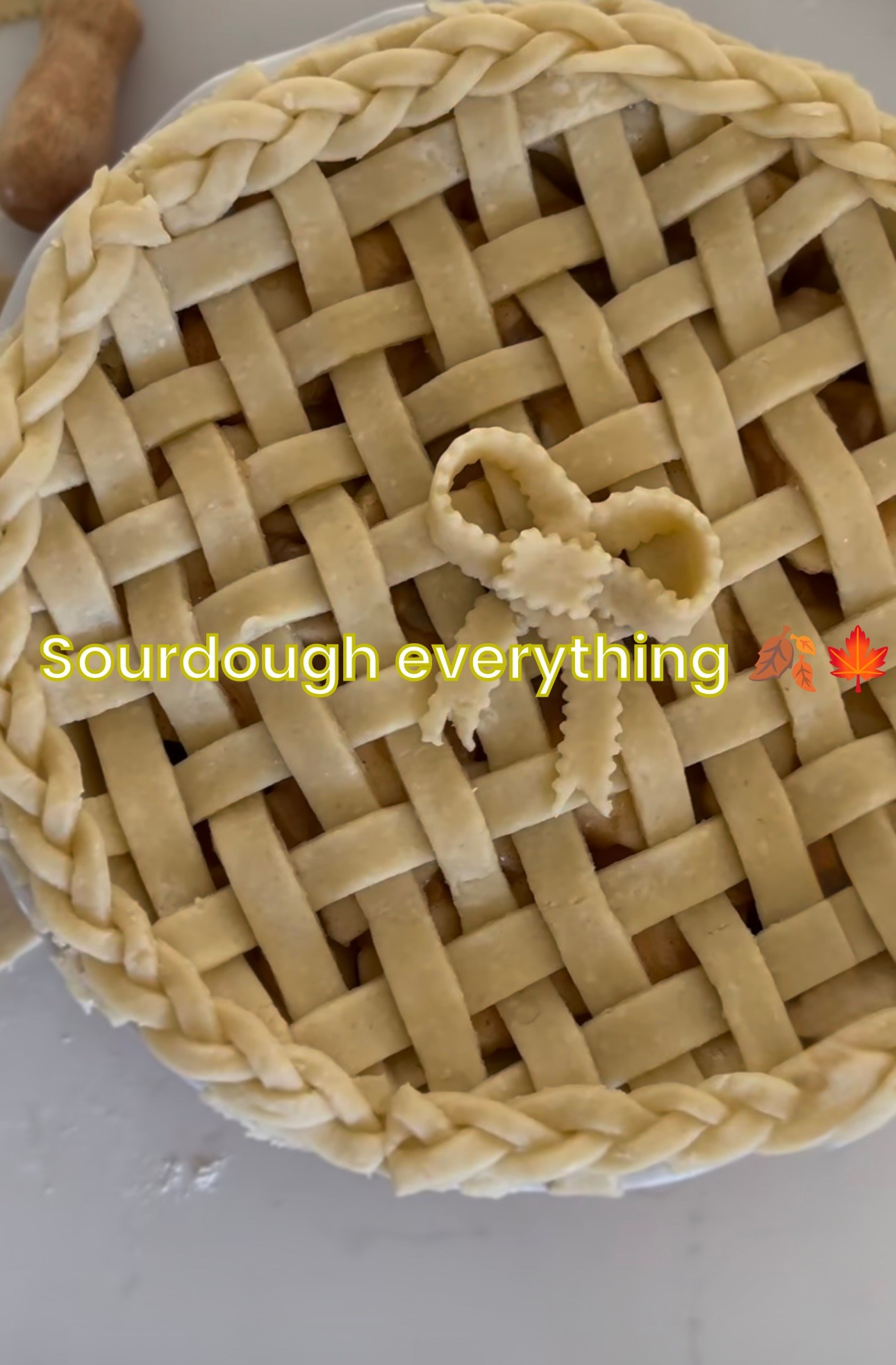 Everything sourdough! 

#LTKmomlife #LTKfoodie #LTKdayinmylife