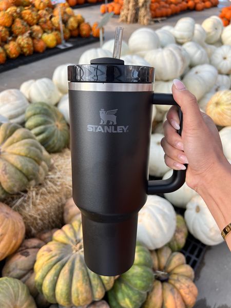 Stanley tumbler I love! This keeps me hydrated since I know if I drink two I have enough water for the day! Keeps drinks hot for seven hours and cold for 11! 

#LTKstyletip #LTKhome