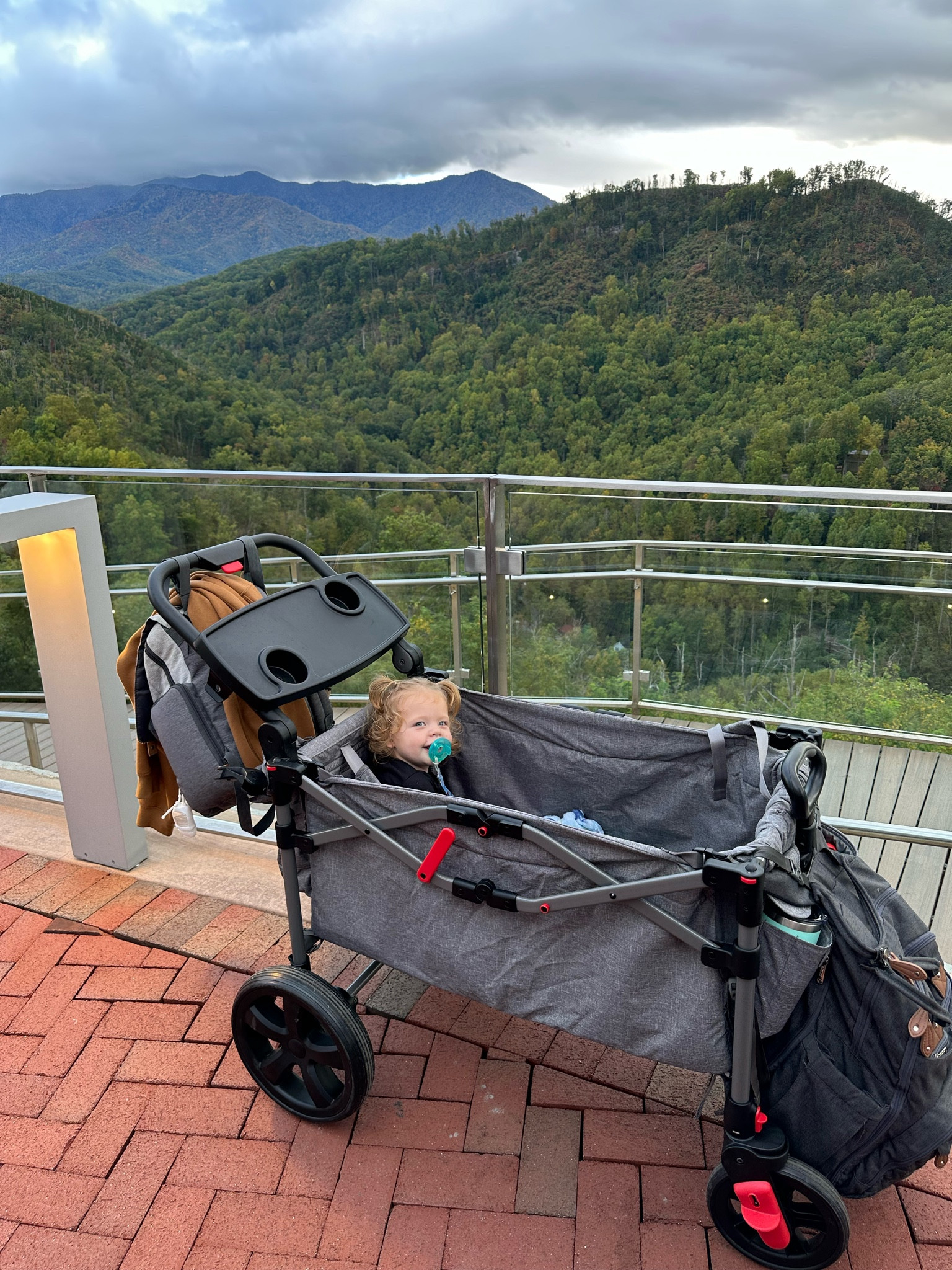 Toddler stroller + wagon stroller + kids stroller + wagon stroller for kids 

#LTKsalealert #LTKkids #LTKbaby