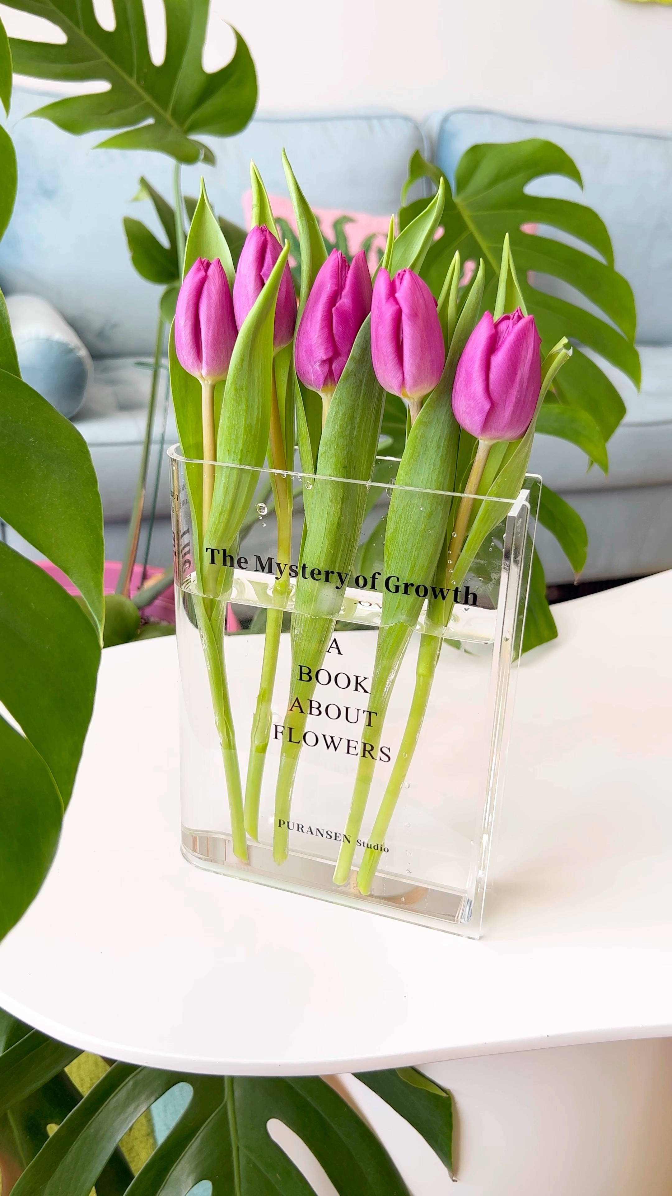 Puransen Book Vase
Book Flower Vase
Book Vase
Book Vase for Flowers
Eclectic Home Decor
Amazon Finds
Prime Deal Days
Amazon Prime Big Deal Days
Amazon Prime Finds
Amazon Sale
Tulip Vase
Gift Ideas
Gifts for Women
Gifts for Best Friends
Gifts for Mom

#LTKhome #LTKsalealert #LTKxPrime
