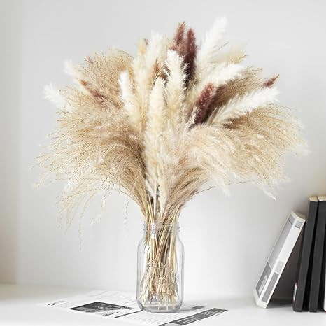 Pampas Grass, 60pcs Dried Pampas Grass Decor, 17'' Natural Brown Pampas & White Pompas Grass Bouq... | Amazon (US)