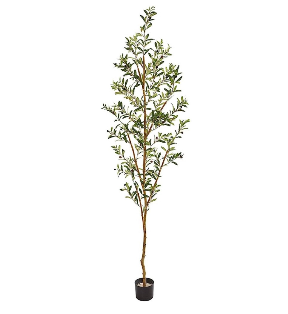 things I’m ordering for prime day!! this artificial olive tree has been on my list for months! 

Prime day, Amazon prime day, artificial tree, artificial olive tree, indoor tree, faux olive tree 

#LTKsalealert #LTKxPrimeDay #LTKhome