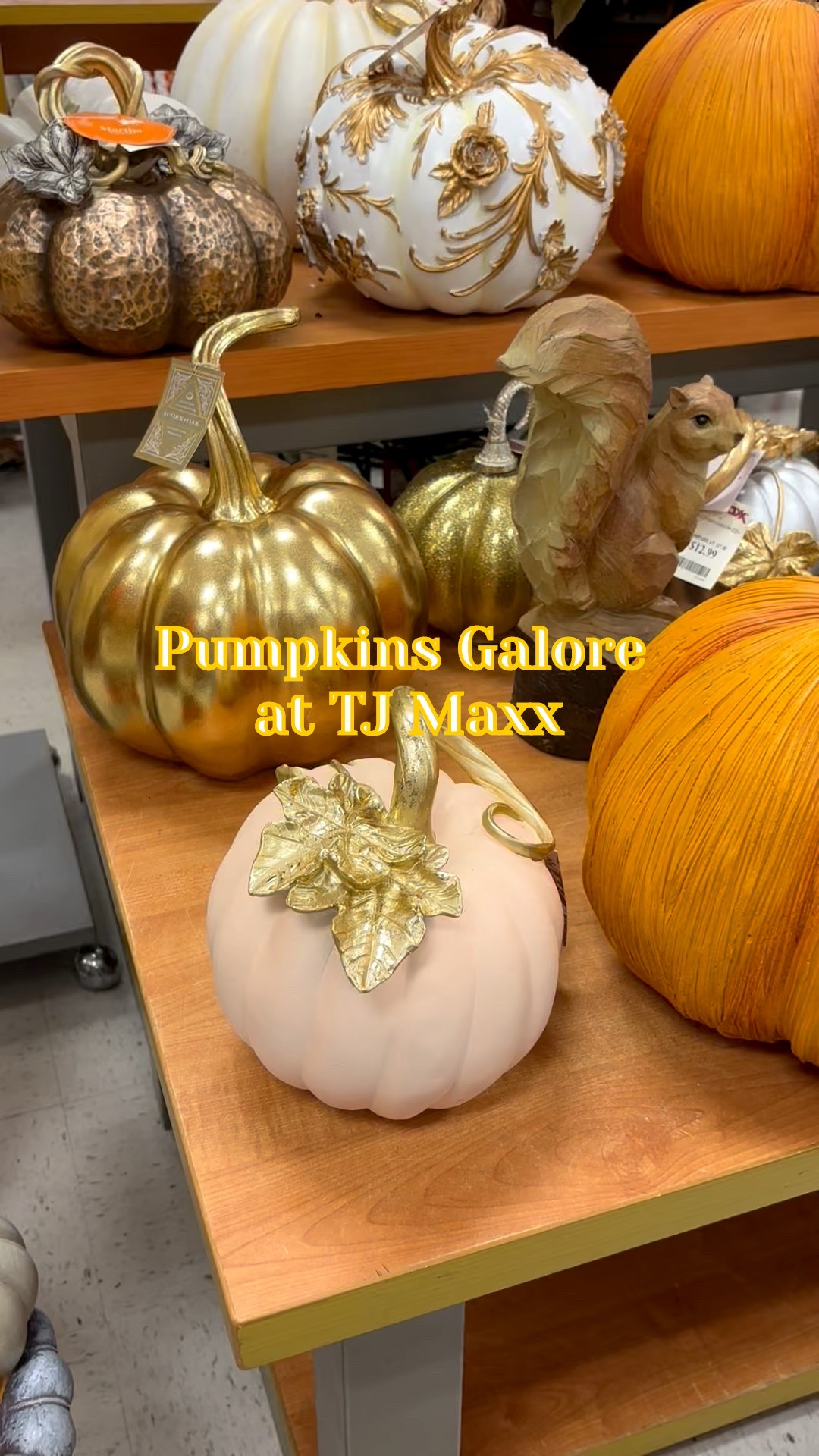 TJ Maxx has an incredible selection of pumpkins for your fall decor. Not all of these are available online but I linked the ones I could find. Bonus! Free shipping when you spend $89 or more. 👍

#LTKFindsUnder50 #LTKHome #LTKSeasonal