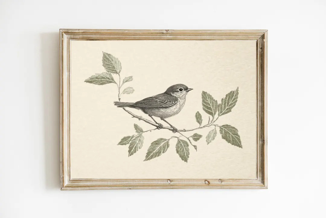 Vintage Bird Print | Neutral Country Farmhouse Wall Decor | Sage Green Cottagecore Nursery Wall A... | Etsy (US)