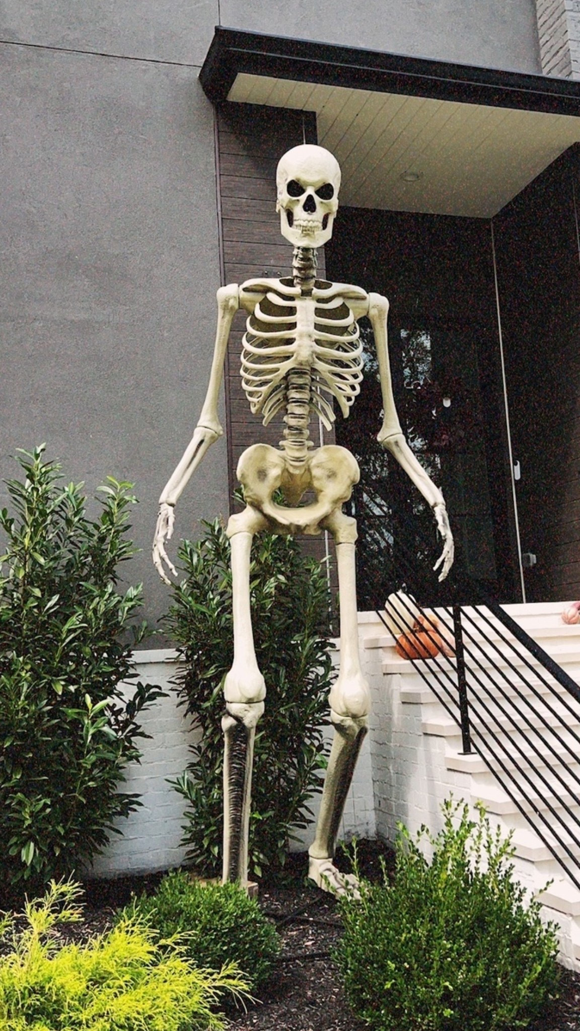 Guess who’s back!!! My 12’ skeleton is in stock at Home Depot! This always sells out FAST

#LTKSeasonal #LTKHome #LTKdayinmylife