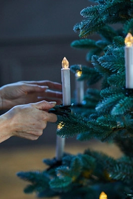 Anthropologie | Anthropologie (US)