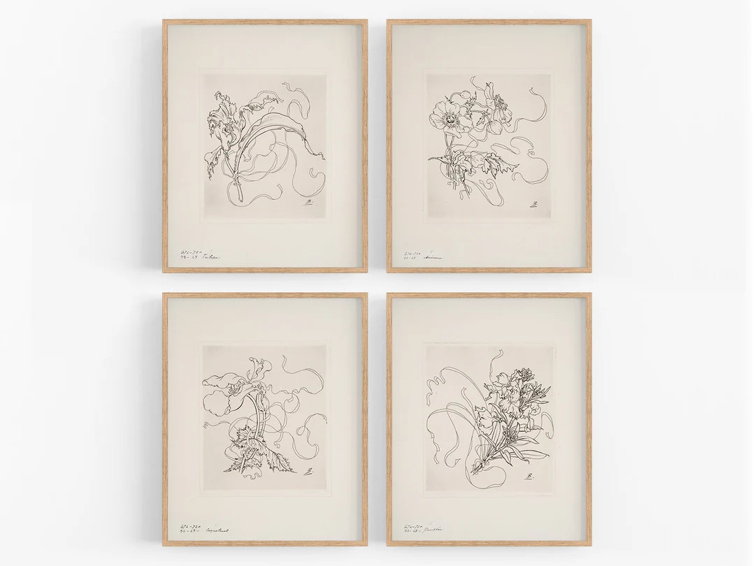 French Porcelain Flower Sketches With Wide Borders, Set #1 - Set of Four / Botanical Art / Nurser... | Etsy (US)