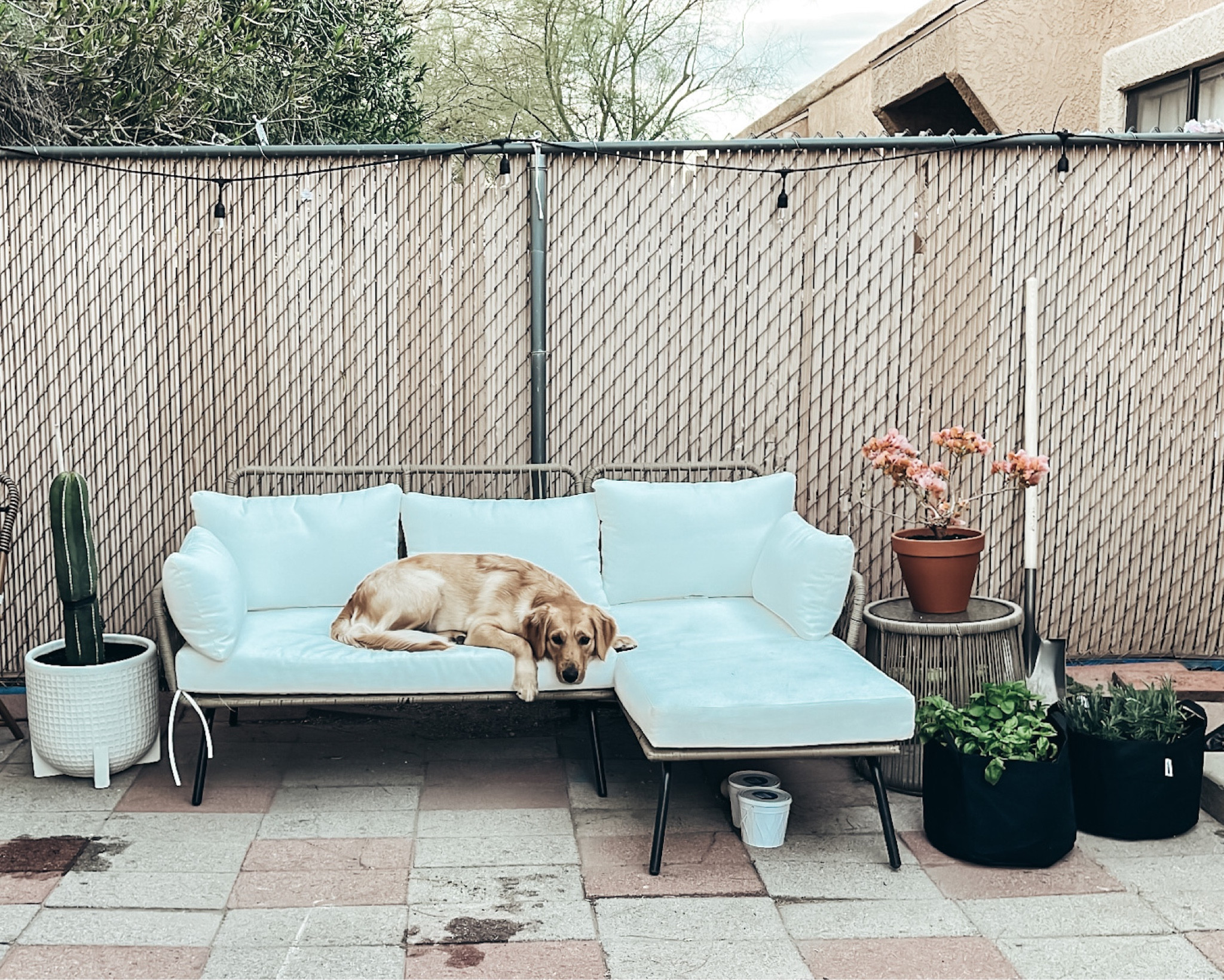 Our backyard furniture is from Amazon and looks SO beautiful 😍 We truly could not have imagined a better look for our yard! This wicker outdoor section with an end table is also on sale 

#LTKsalealert #LTKstyletip #LTKSeasonal