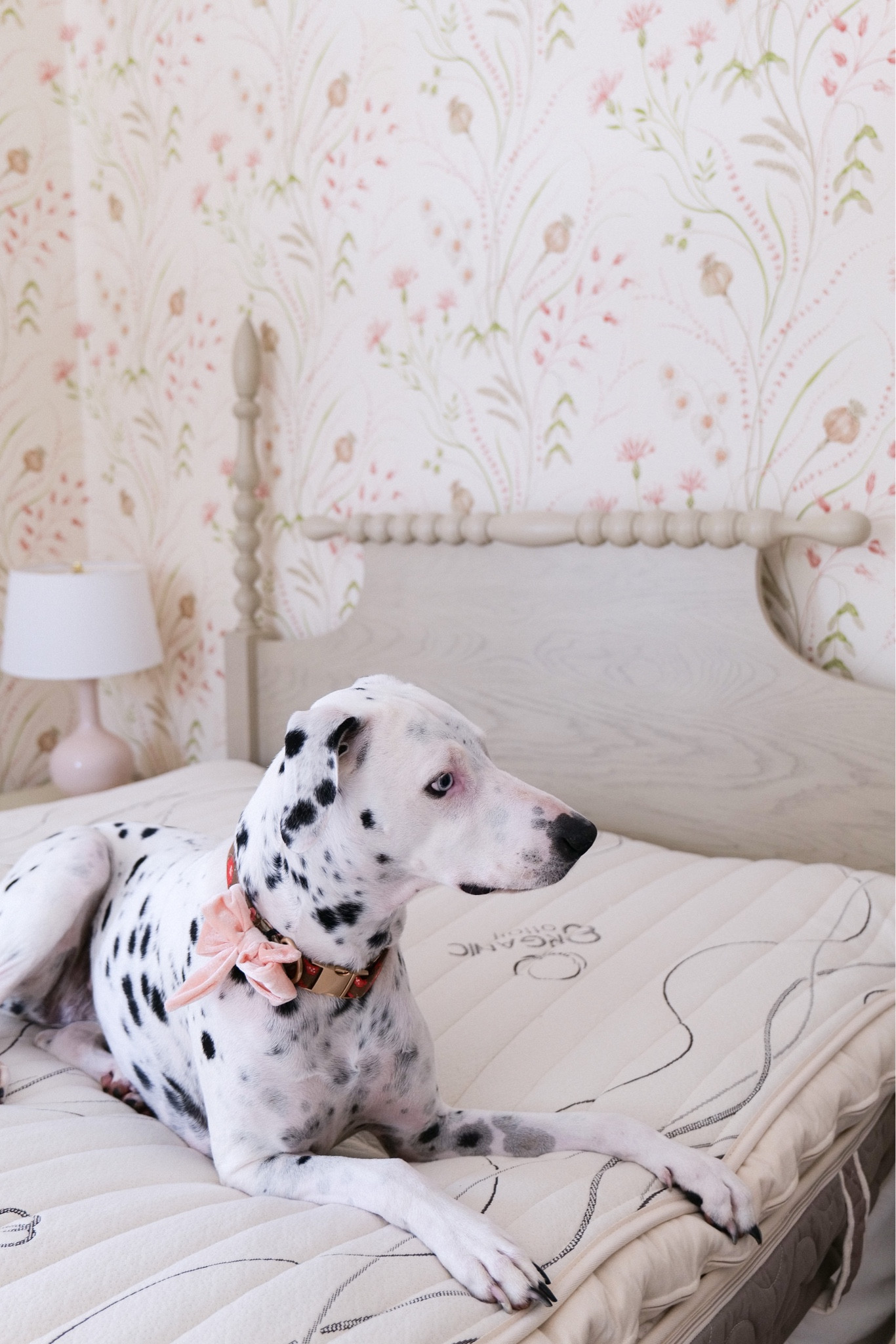 New mattress in the guest room is so comfortable and organic I had to share! 

#LTKhome #LTKFind