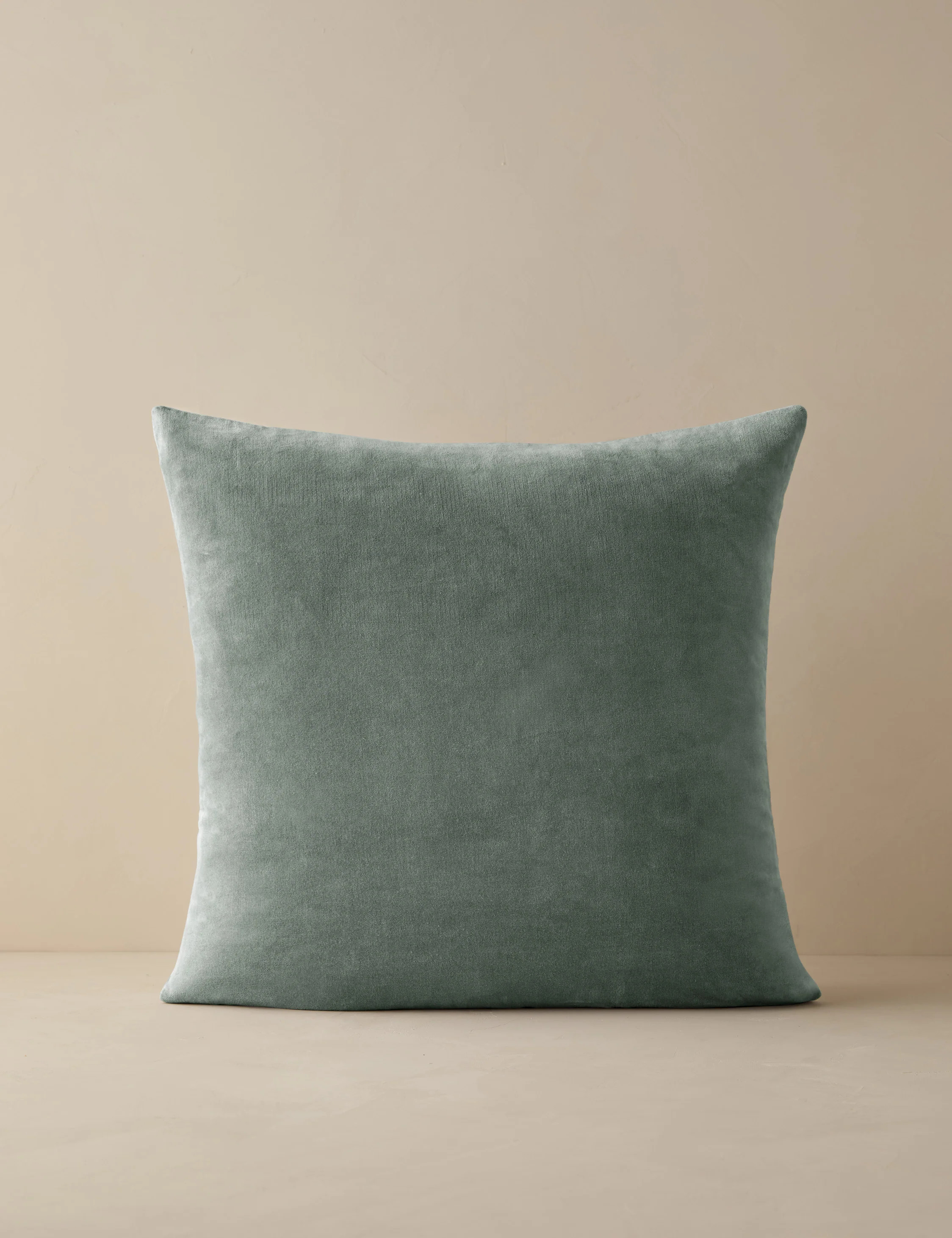 Charlotte Velvet Pillow | Lulu and Georgia 