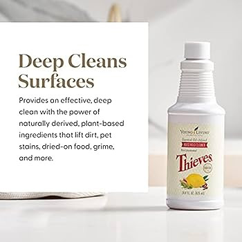 Thieves Household Cleaner - Plant-Based natural cleaning product for home Solutions for a Happy, ... | Amazon (US)