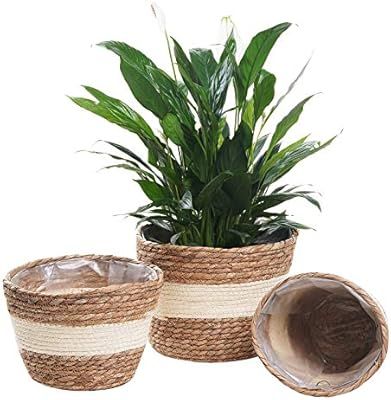 LOCONHA Seagrass Planter Basket, 7.5/8.5/10 Inch Flower Pots for Live Plants Indoor Outdoor, Plan... | Amazon (US)