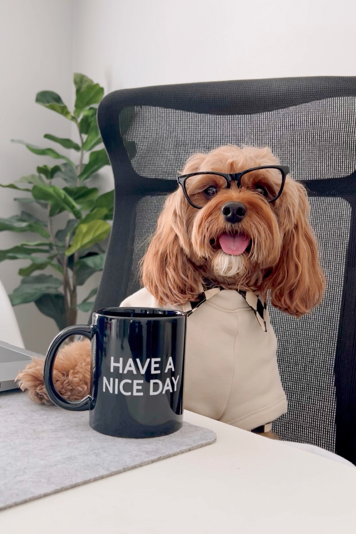 Have a Nice Day with a little surprise on the bottom 😂 linked my exact one below and some other ones! 