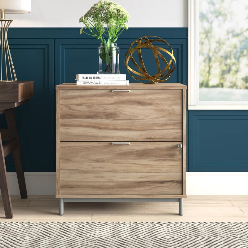 Felty 30.35'' Wide 2 -Drawer File Cabinet | Wayfair North America