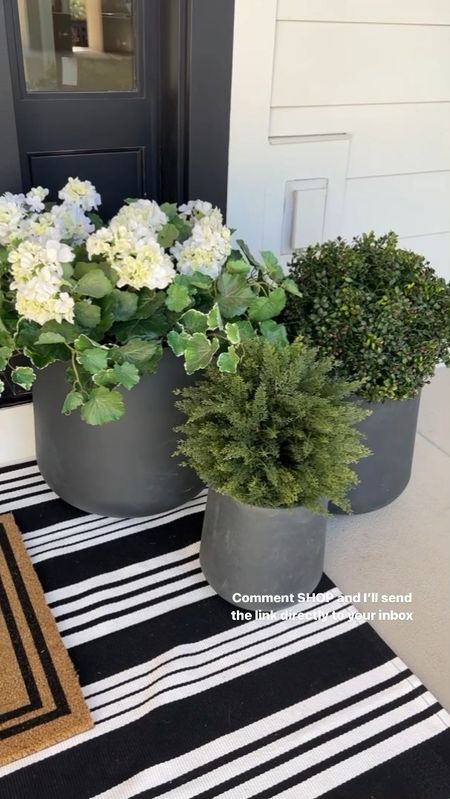Look for less 3 piece planter sets from Amazon home.  These look almost identical to more expensive ones from Pottery Barn and Restoration Hardware.  They’re perfect for porch decor or patio.


Outdoor home decor, 

#LTKhome #LTKstyletip #LTKSeasonal