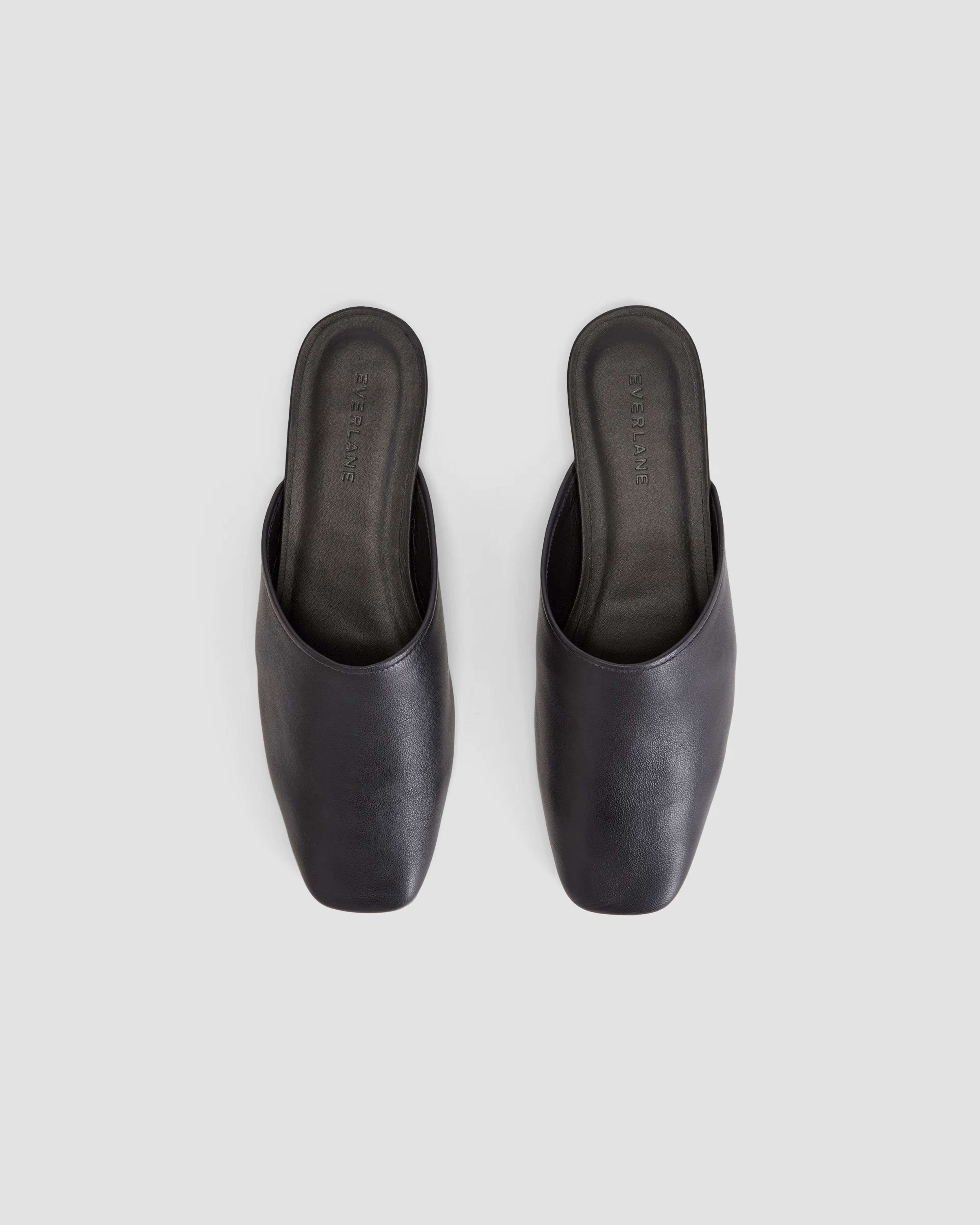 The Day Mule | Everlane