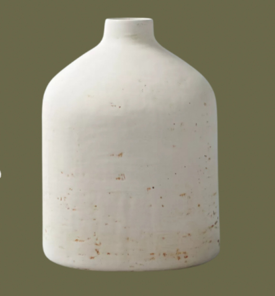 Ceramic Vase 🌿🌱

#LTKSeasonal #LTKHome #LTKFallSale