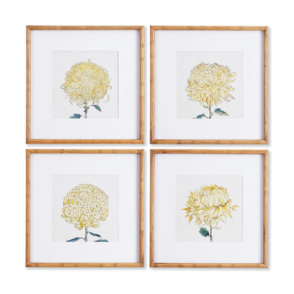 Chrysanthemum Prints, Set Of 4
     
  10% OFF | Scout & Nimble
