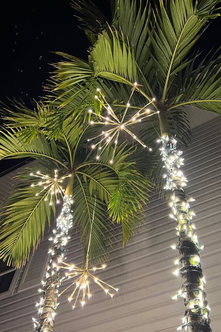 The prettiest lights!!! Walmart starbursts are cute on the Christmas tree too! #meandmrjones 

Christmas decor, Christmas lights, outdoor lights 

#LTKfindsunder50 #LTKCyberWeek #LTKHoliday