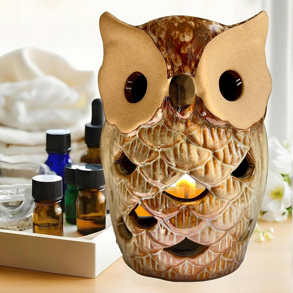 Ceramic Owl Wax Melt Warmer-Essential Oil Burner for Scented Oil-Candle Tealight Holder Diffuser-... | Amazon (US)