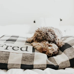 Dog Bed Cover - Striped Dog Beds - Farmhouse Dog Bed - Custom Dog Bed - Pet Beds - Black and Whit... | Etsy (US)