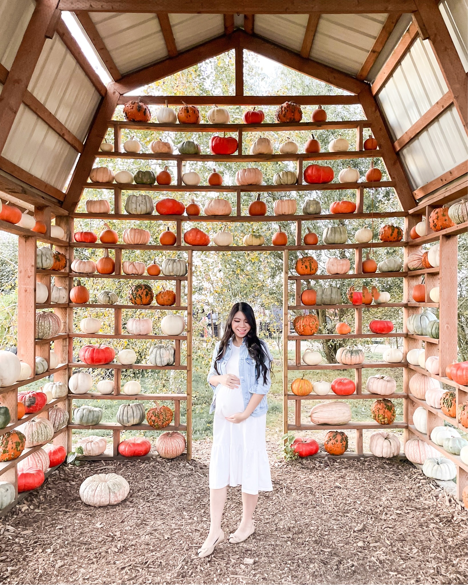 Maternity photo shoot dress - maternity dresses - pregnancy - pumpkin patch outfits - fall family photos - bump friendly



#LTKHalloween #LTKbump #LTKfamily