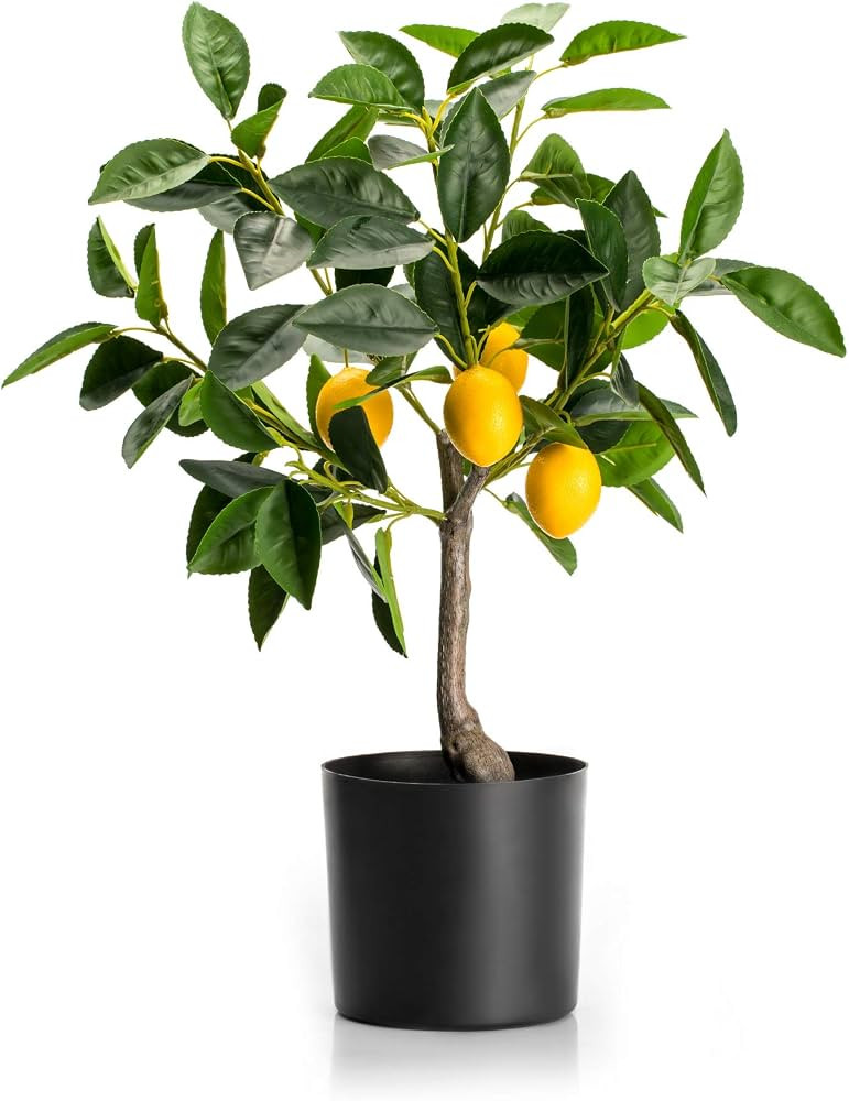Velener Fake Lemon Tree 19"- Bonsai Tree Indoor with Pot Farmhouse Home Decor Living Room Kitchen... | Amazon (US)