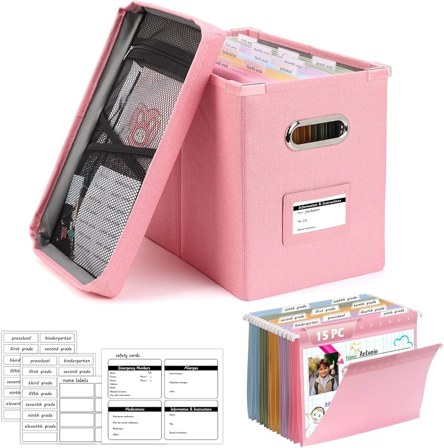 DOSTATNI School Years Organizer Kit K-12 School Years Memory Keeper with 15 Hanging File Folders ... | Amazon (US)