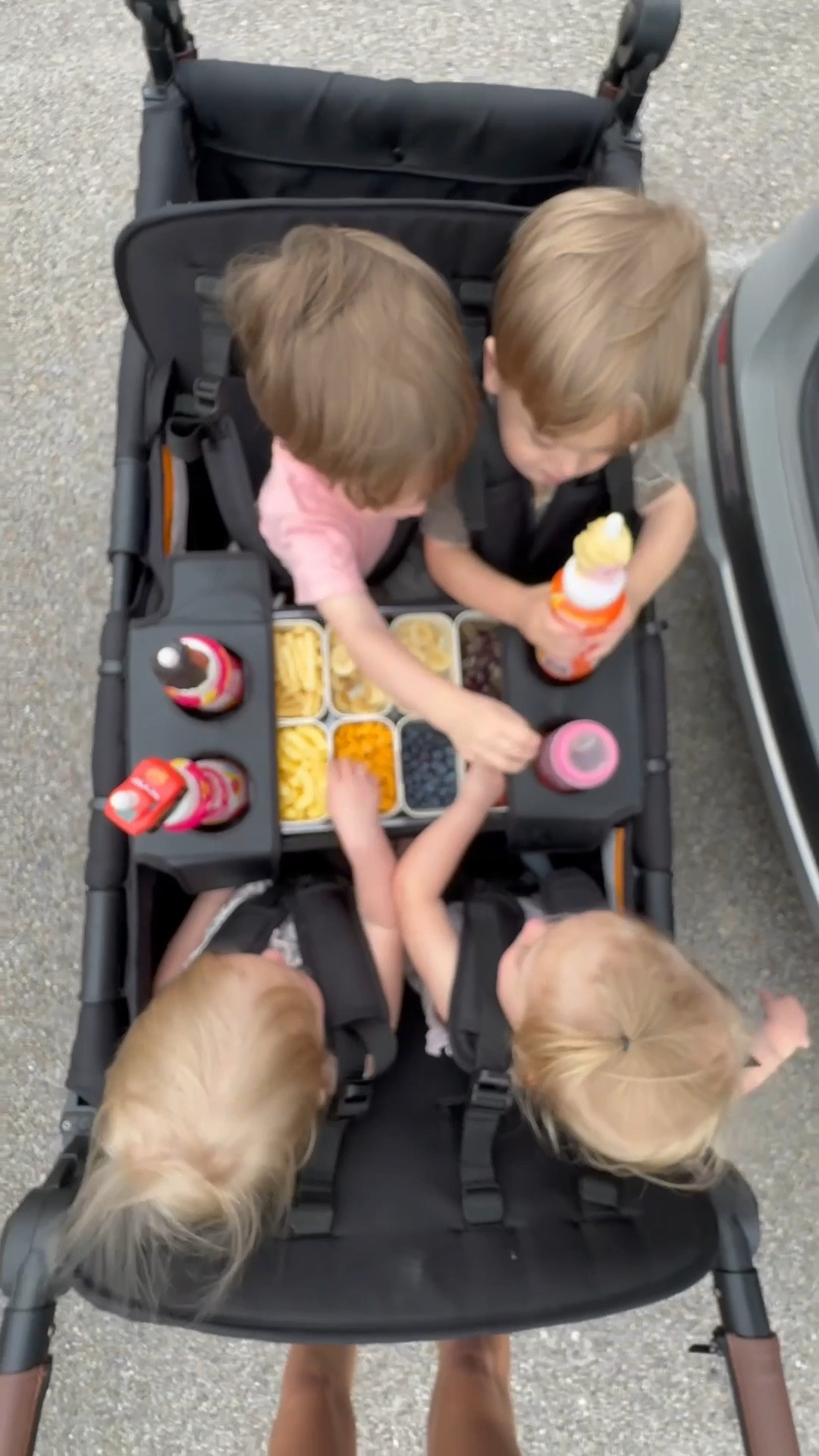Toddler snack container necessity!! 

#LTKHome #LTKKids #LTKActive
