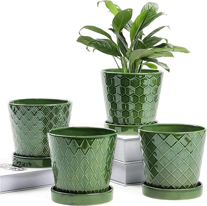BUYMAX Plant Pots Indoor –5 inch Ceramic Flower Pot with Drainage Hole and Ceramic Tray - Garde... | Amazon (US)