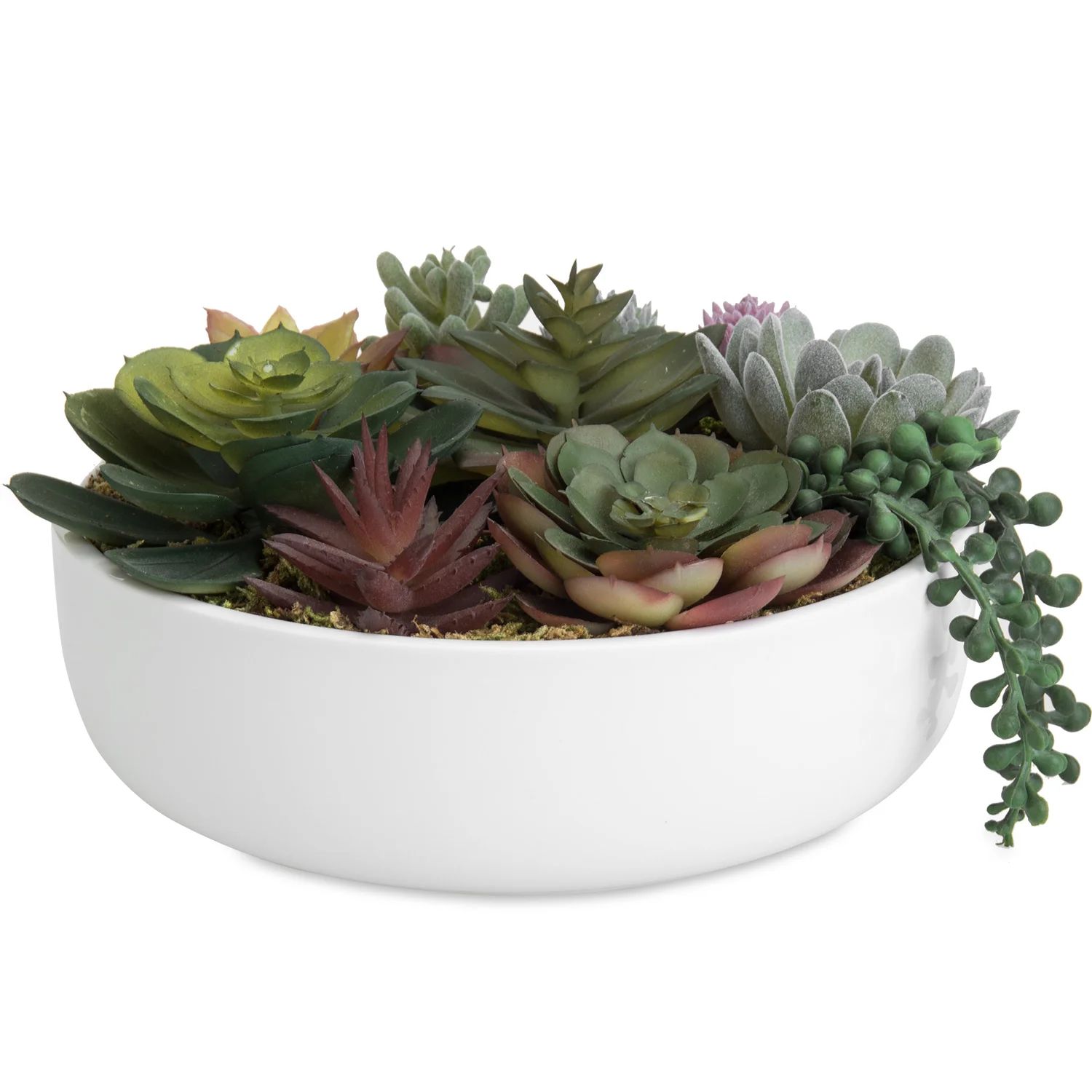 Primrue 4.33'' Faux Succulent in Ceramic Pot & Reviews | Wayfair | Wayfair North America