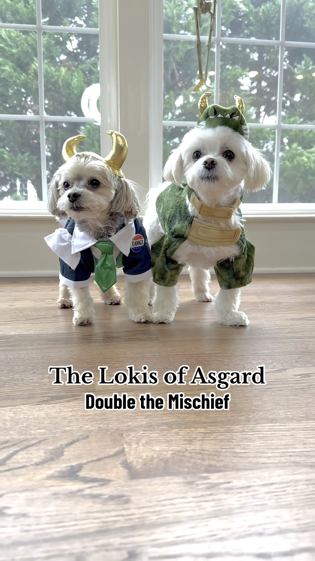 #LTKHoliday #LTKSeasonal #LTKHalloween