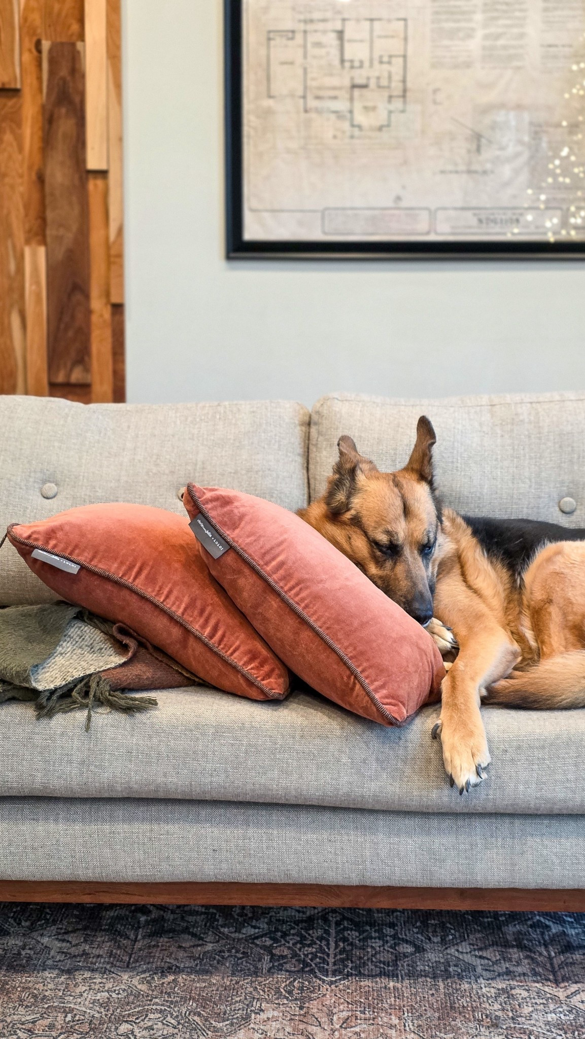 Rotting on the couch, but make it look cute .

#LTKHome #LTKFindsUnder50 #LTKFindsUnder100