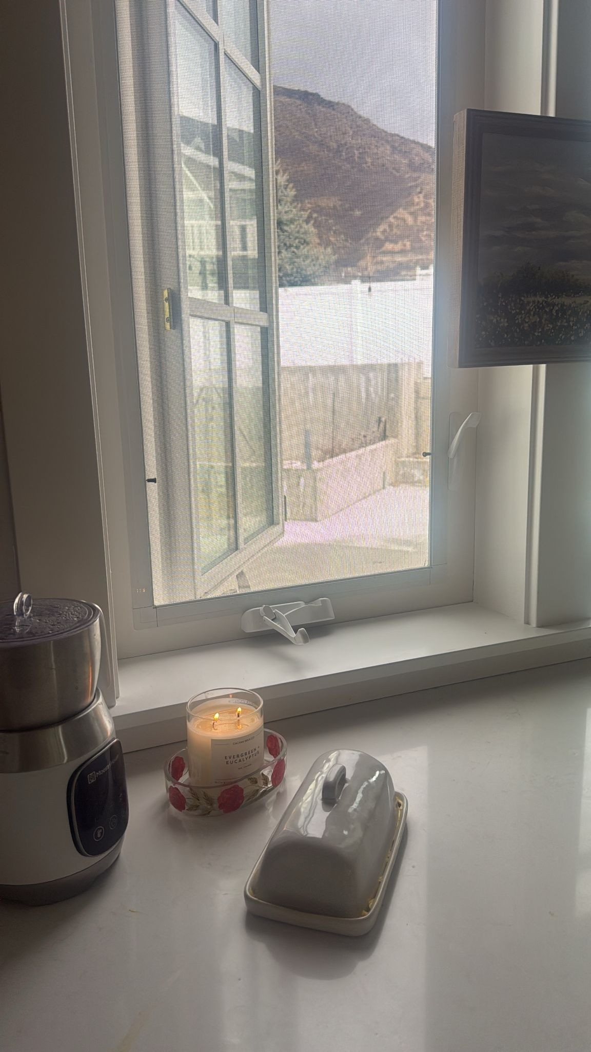 A cute little corner of my kitchen with spring outside. Loving this warmer weather!  

 #LTKdayinmylife #LTKfoodie