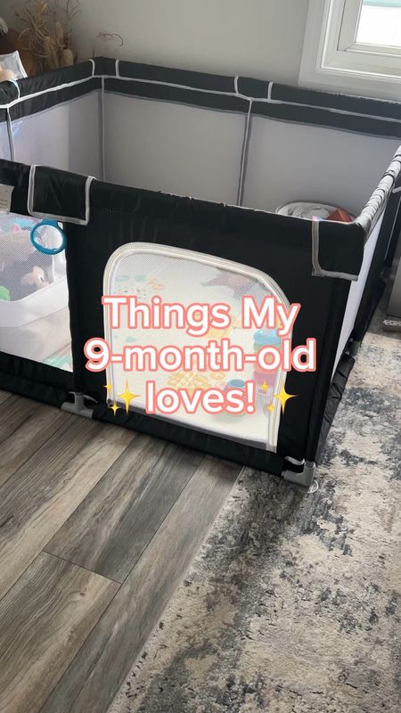 Things my 9 month old little human is loving! 

#LTKbaby #LTKkids #LTKfamily