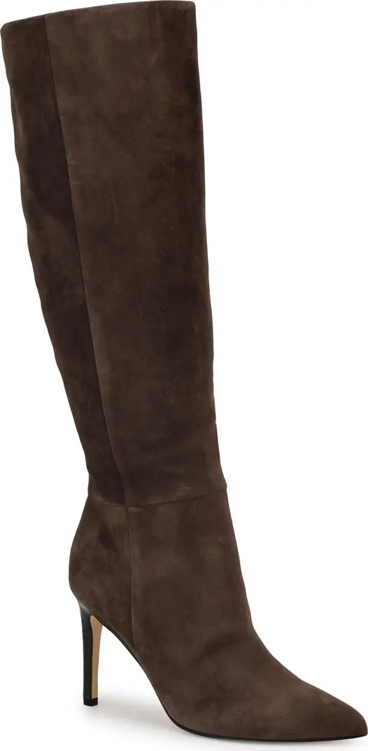 Richy Pointed Toe Knee High Boot (Women) | Nordstrom