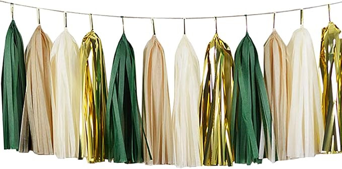 Shiny Tassel Garland Tissue Paper Tassel Banner,Table Decor,Tassels Party Decorations Supplies fo... | Amazon (US)
