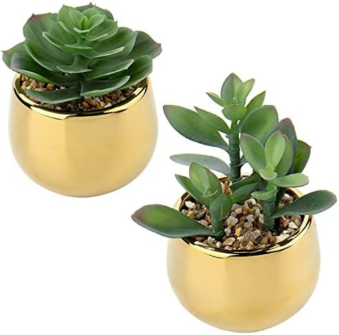Small Artificial Succulents in Pots Set of 2 Realistic Faux Succulents Plants with Gold Ceramic P... | Amazon (US)