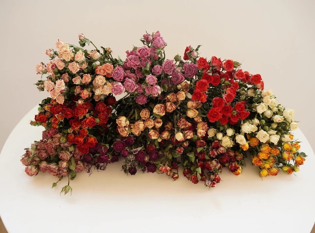 These dried rose bundles by FlowerwoodSupply are a timeless staple for weddings, home décor, and floral art projects. Each bundle includes 10 beautifully preserved stems in your choice of nine colors, perfect for styling vases, creating arrangements, or adding a romantic touch to DIY designs. With their classic look and long-lasting beauty, they’re an easy way to elevate any space or celebration.
#LTKfinds #LTKhome #driedflowers #driedroses #weddingdecor #floralart #vasedecor #diydecor #etsyfinds #floralstyling

#LTKHome #LTKWedding #LTKSeasonal