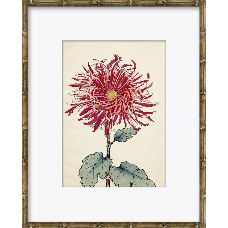 Asian Flower 1 | One Kings Lane