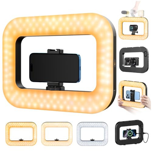 yAyusi Cell Phone Light for Video Recording, Handheld Phone Stabilizer with Light, 8000mAh LED Selfie Phones Ring Light with Phones Holder, Smartphone Video Rig for Camera, Action Camera, Vlog, TikTok | Amazon (US)