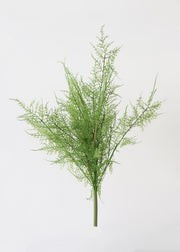 Real Touch Plastic Asparagus Fern | Afloral (US)