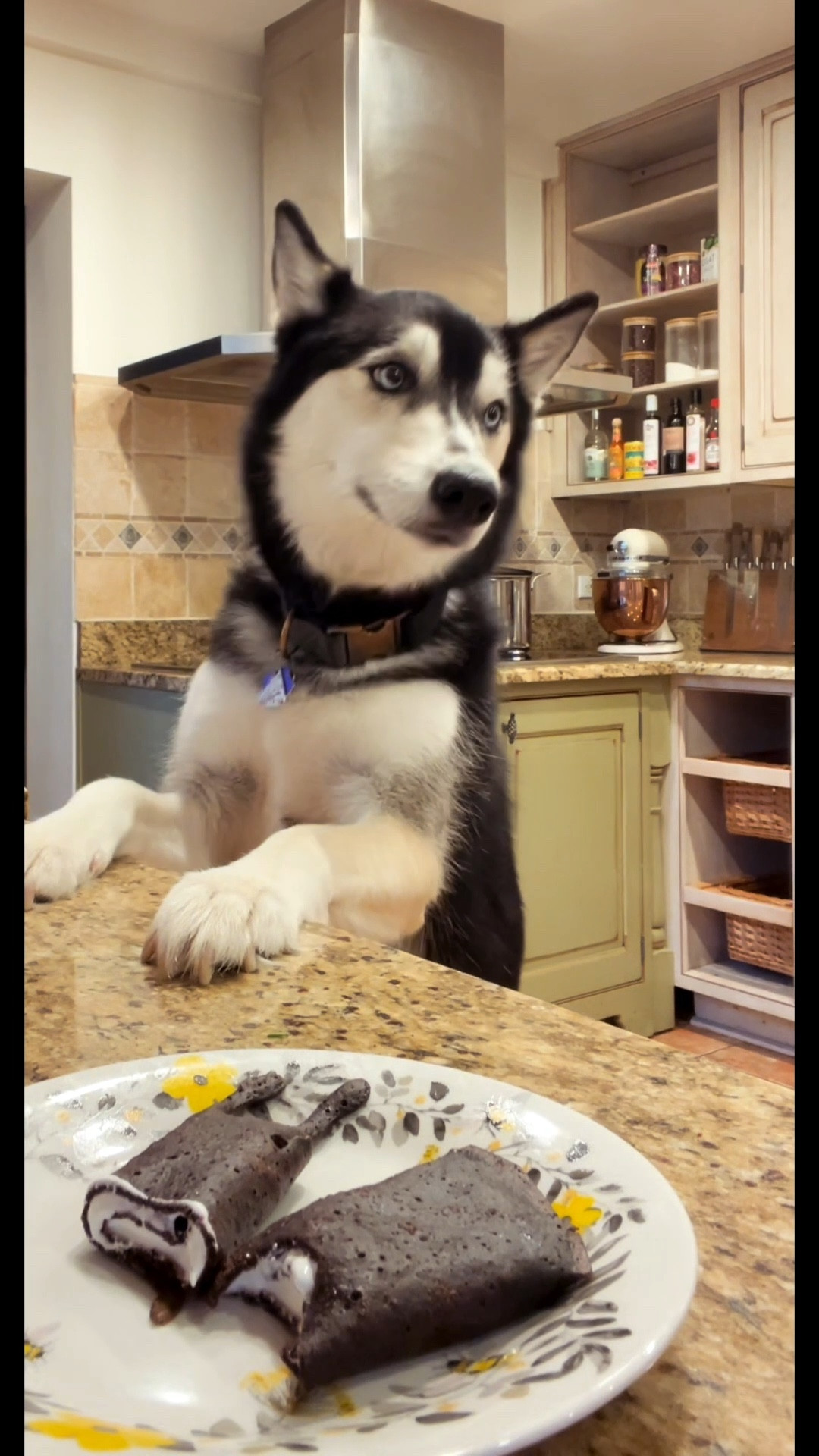 Let’s make crepes! 

#LTKSaleAlert #LTKPets #LTKHome