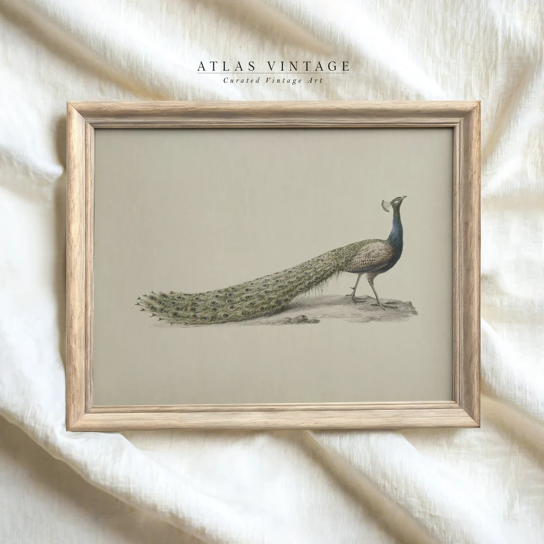 Vintage Peacock Print | Antique Nursery Wall Art | Neutral Bird Painting | Digital Download | Far... | Etsy (US)