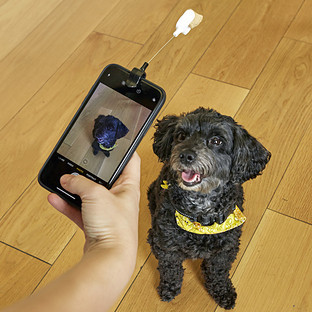 KIKKERLAND® Dog Treat Selfie Clip | The Container Store