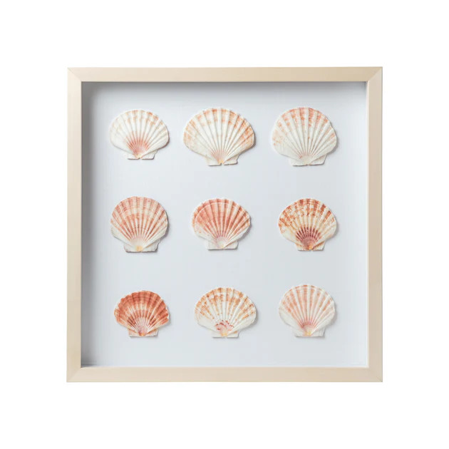 Sea Scallop Framed Art | Cailini Coastal