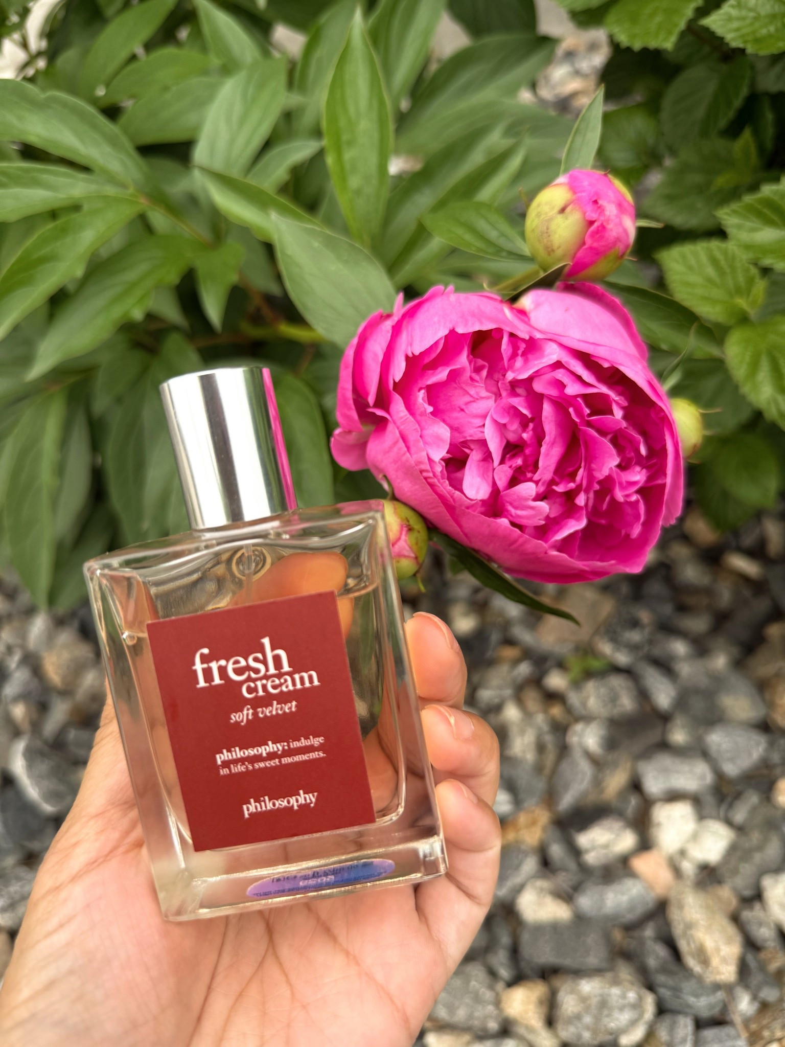 Smells so good 😍

#LTKSummerEdit #LTKGiftGuide #LTKFindsUnder100