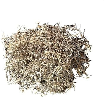 Mosser Lee ML0560 Spanish Moss, 250 Cubic Inches | Amazon (US)