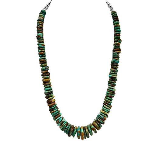 Genuine Green Nevada Turquoise Necklace, 22 Inches, Navajo Native American USA Handmade, Graduate... | Amazon (US)